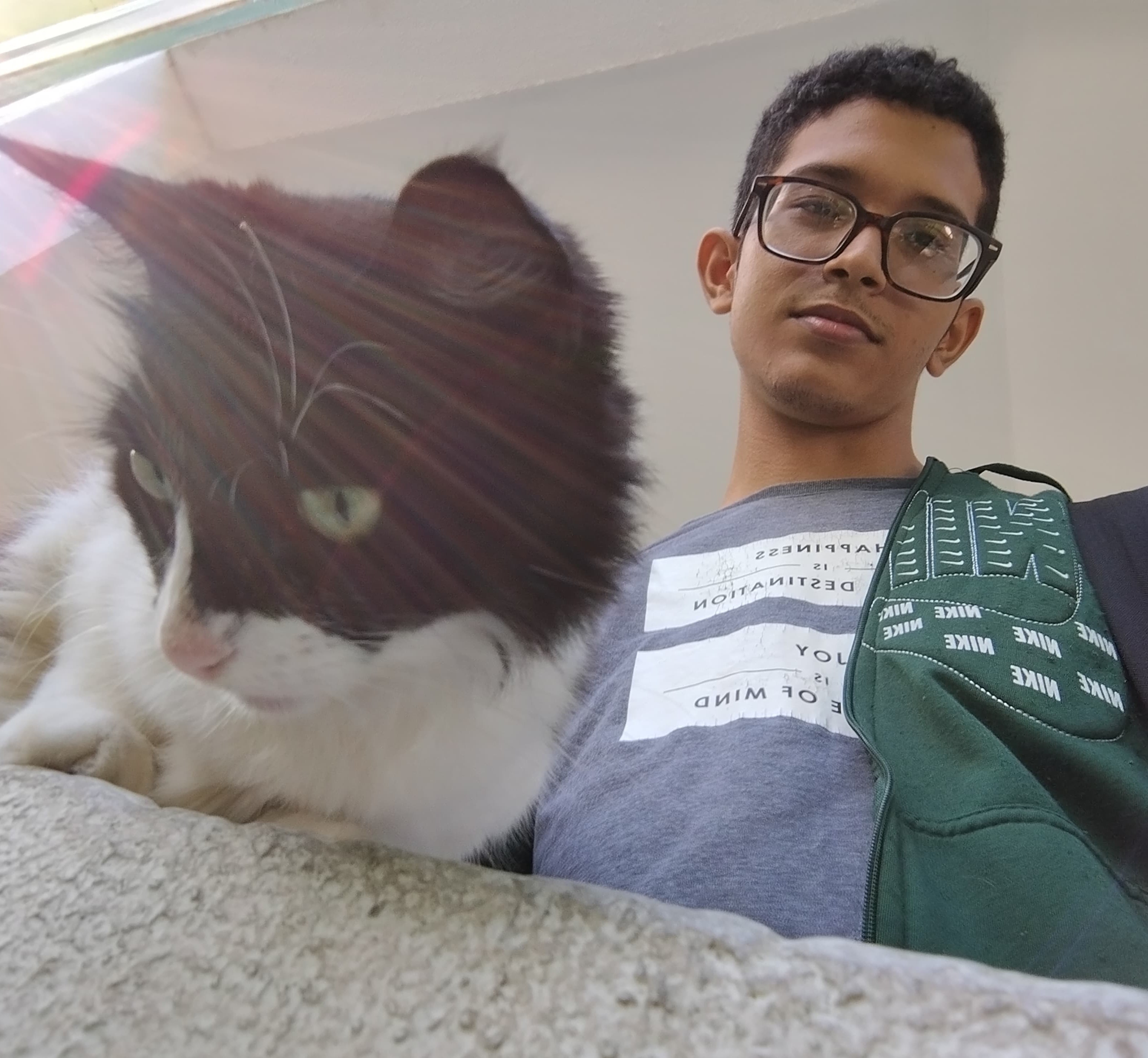 Descripción de la imagen